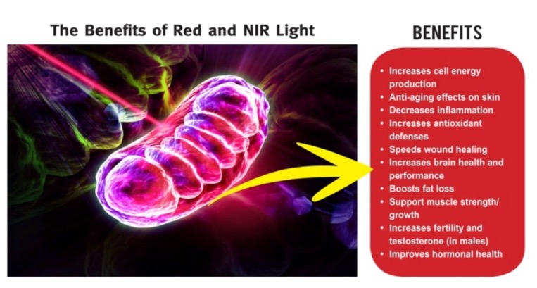 Image 8-9-2022 at 10.34 am